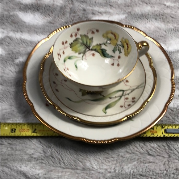 Mitterteich Bavaria teacup saucer and plate - Picture 2 of 10